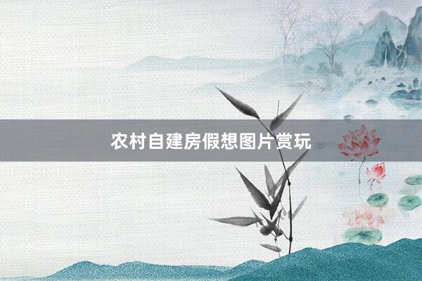 农村自建房假想图片赏玩