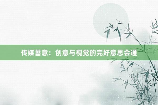 传媒蓄意：创意与视觉的完好意思会通